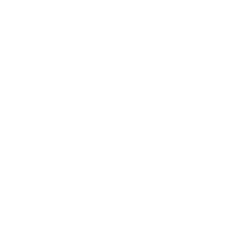 Problem Holdings logo
